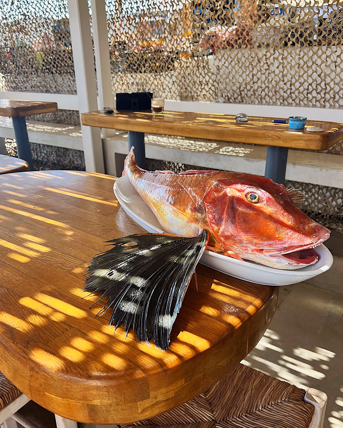 Whole red fish with its tail fin on a white platter atop a wooden table in a sunlit, latticed outdoor restaurant