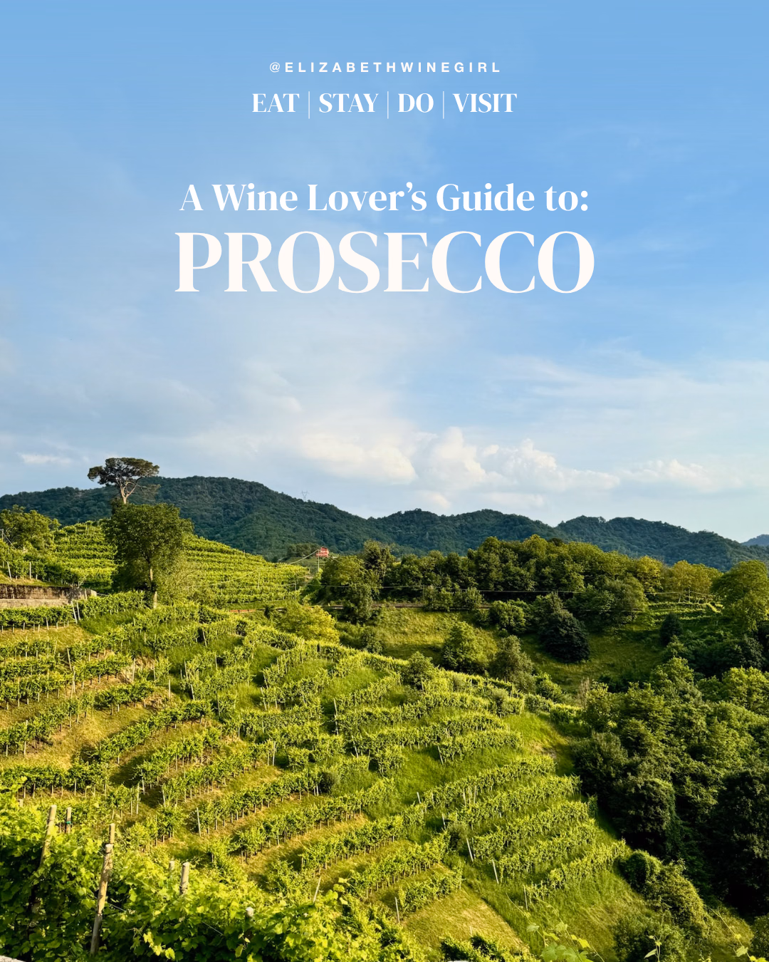 Rolling green vineyard terraces on steep hillsides beneath a blue sky, with forested hills in the distance, under the text "A Wine Lover's