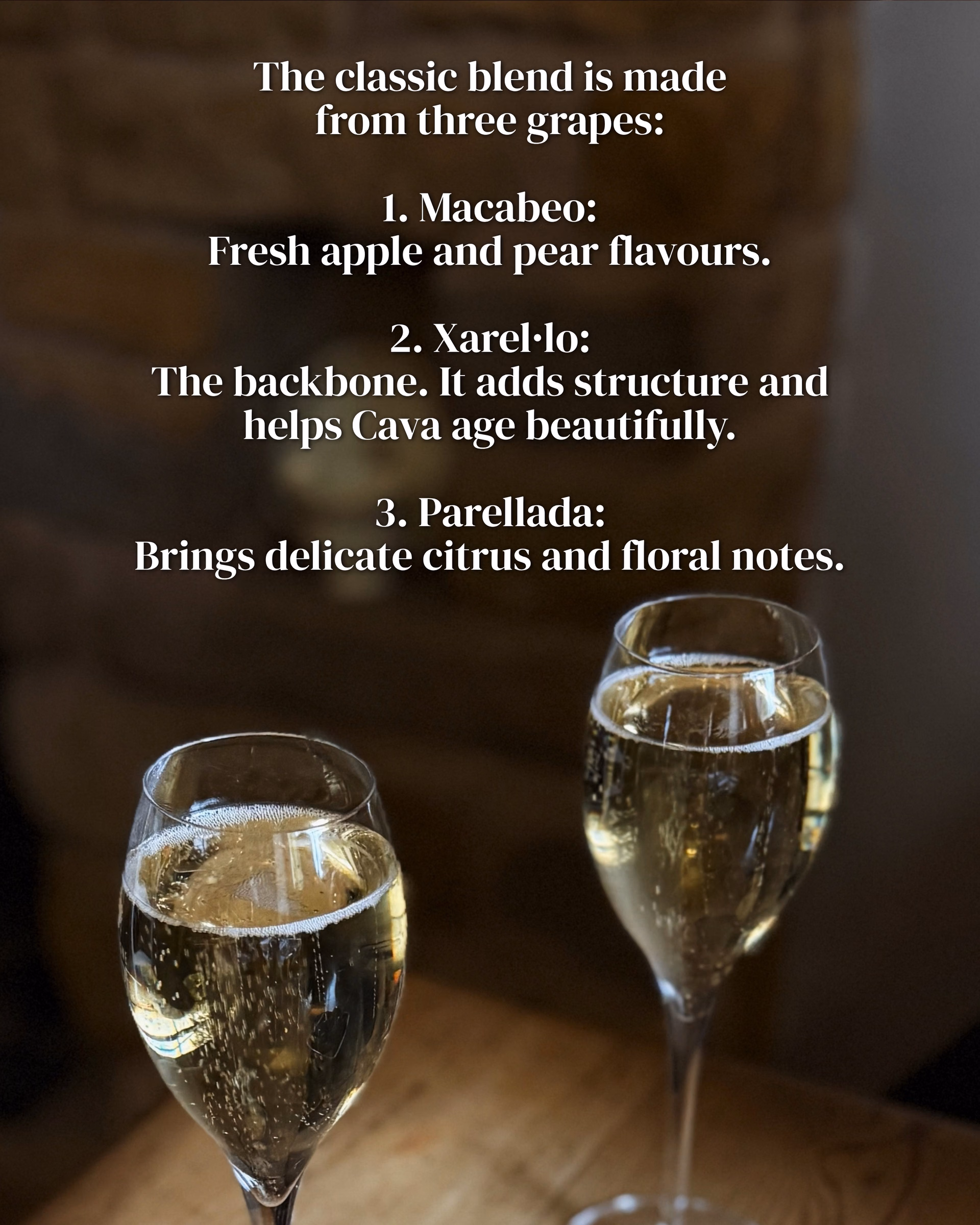Two flute glasses of sparkling Cava on a wooden table, with text listing the three classic grapes: Macabeo, Xarel·lo and Parellada.