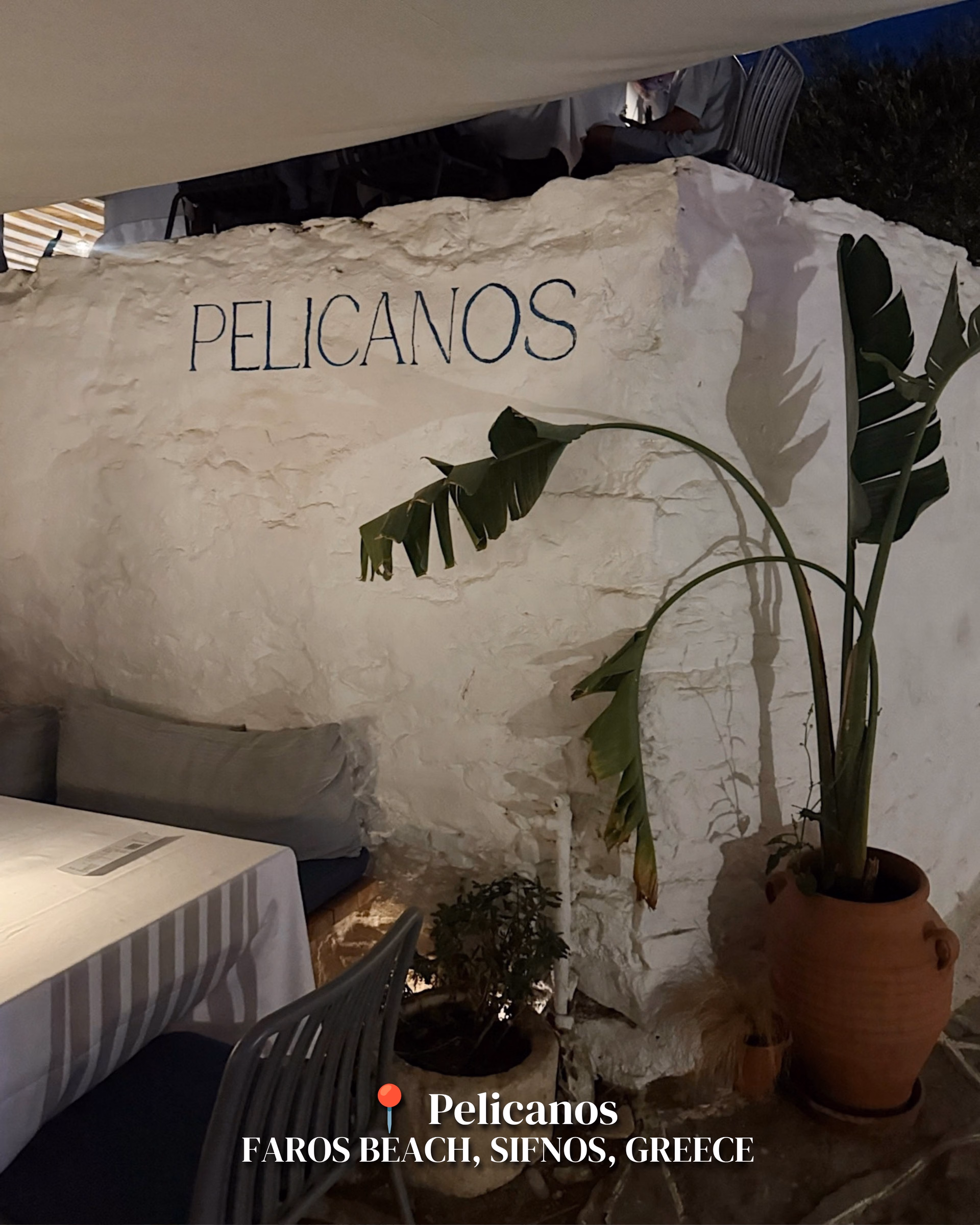 Whitewashed wall with "PELICANOS" painted in dark letters, a banana-style plant in a terracotta pot, and a striped-cloth table at Faros