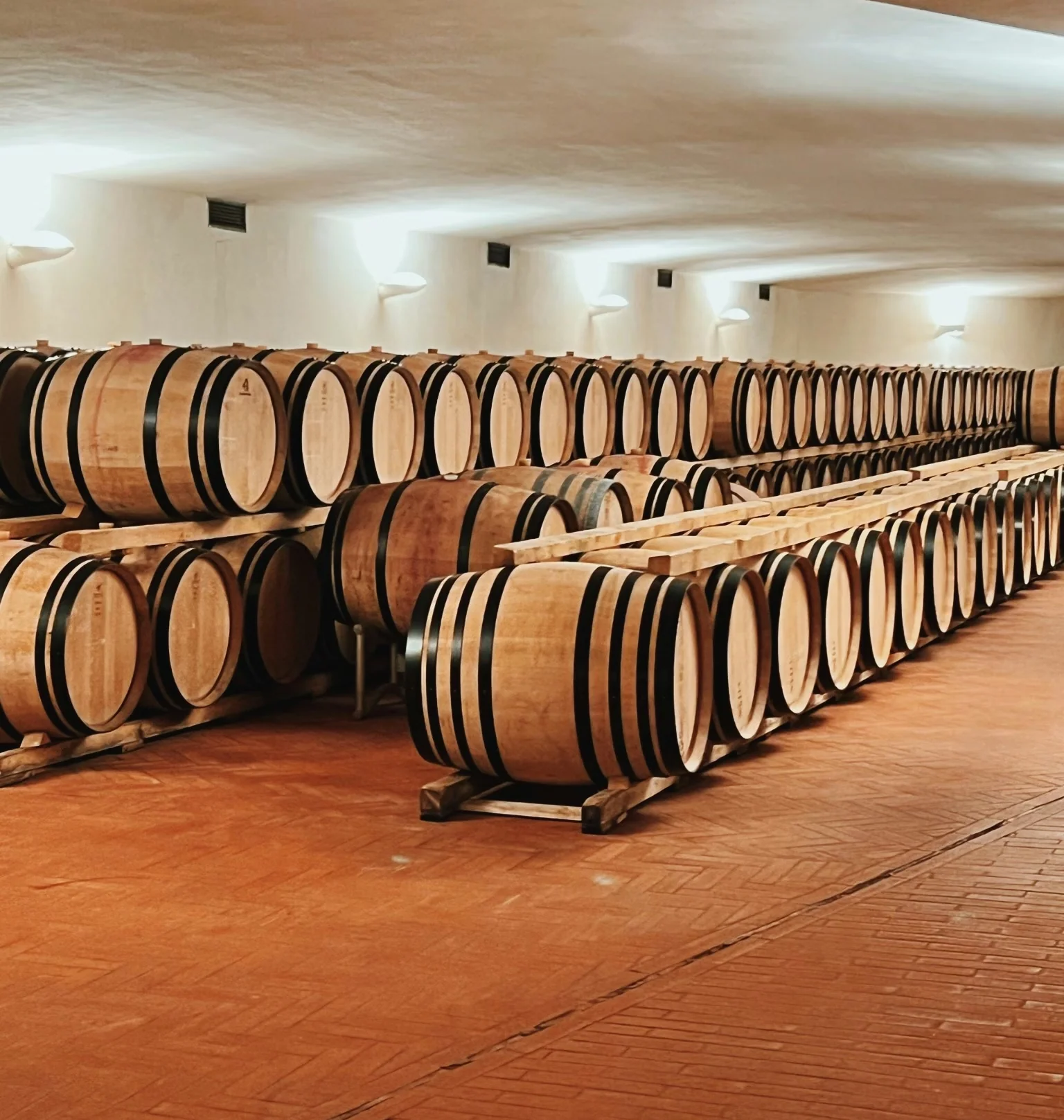 Rows of oak wine barrels in the underground cellar at Fontodi Winery, Tuscany