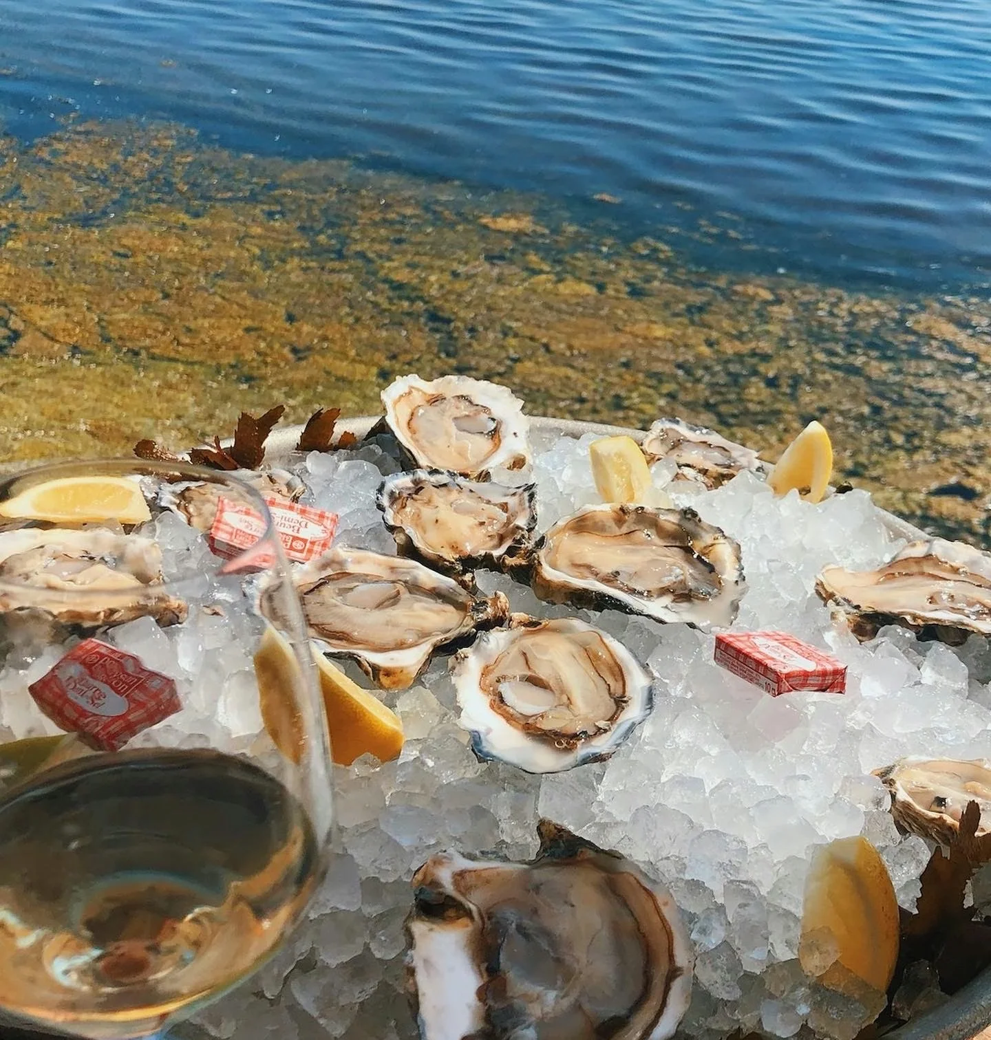 Oysters on ice with lemon wedges and a glass of wine beside the water