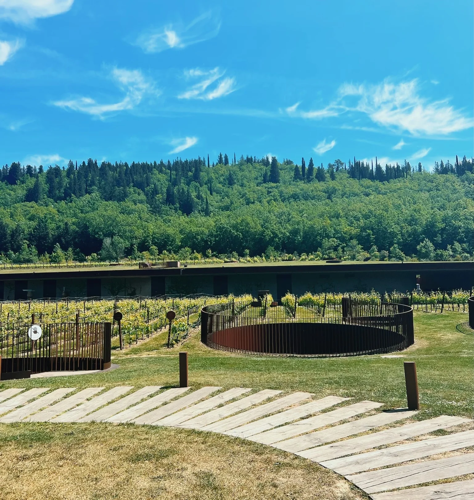 Antinori winery grounds in Tuscany, with vineyards, circular seating areas, woodland and a blue sky