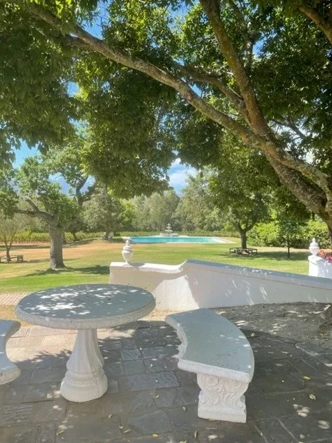Shaded garden terrace with stone table, curved bench and fountain pool