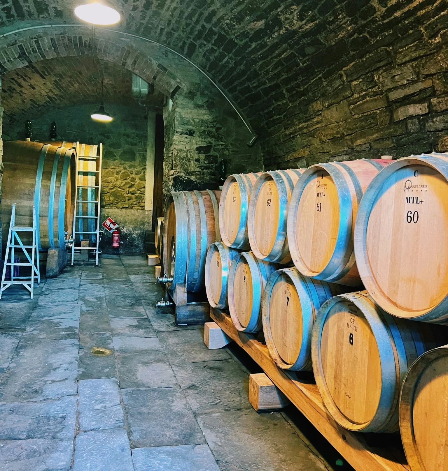 Stone-vaulted cellar with rows of wooden wine barrels, including numbered barrels marked MTL+ 60 and 61