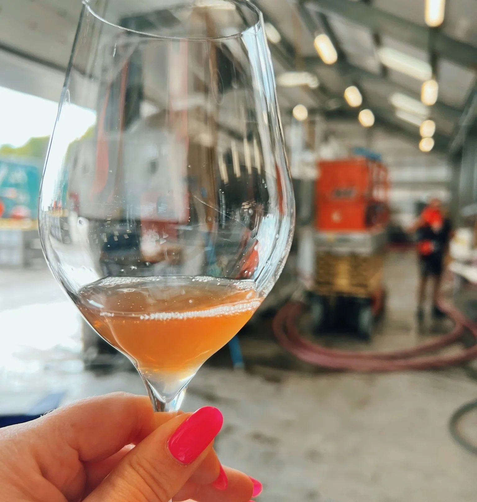 Hand holding a glass of fresh-pressed orange wine inside a working winery