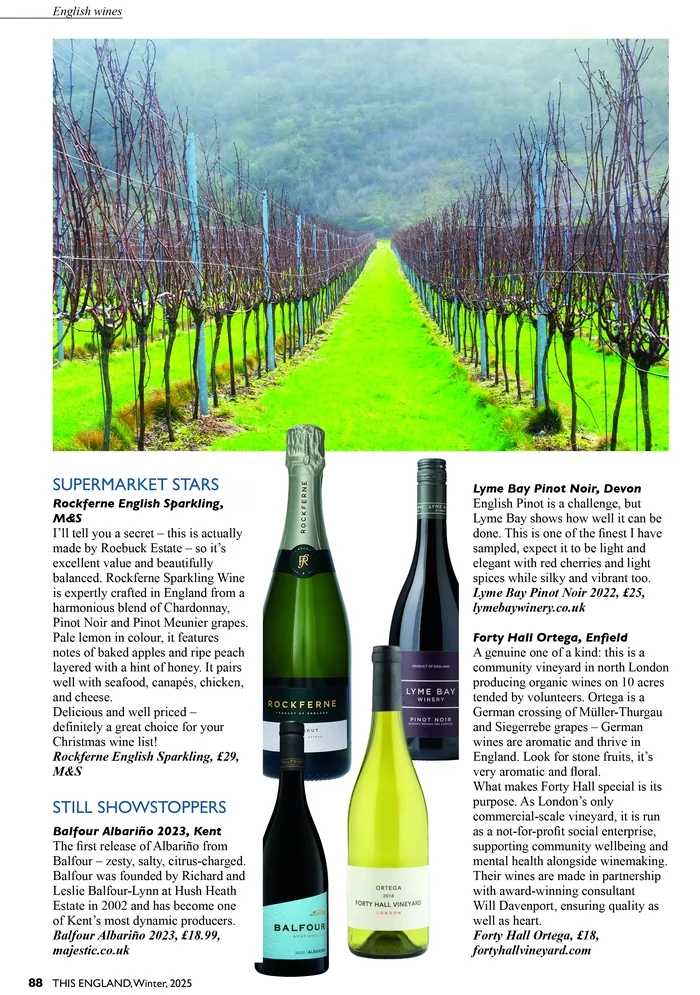Rows of vines lead through a bright green vineyard beneath misty hills, beside English wine recommendations.