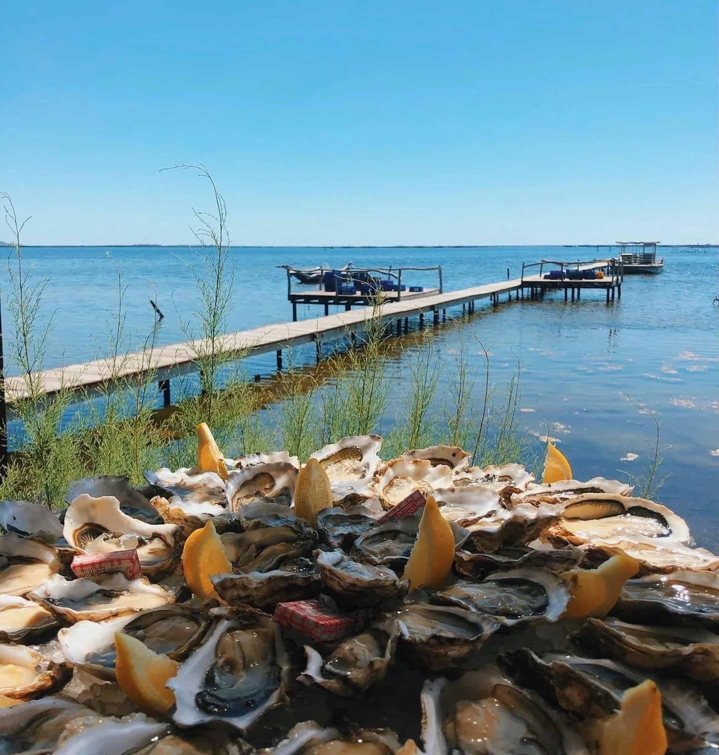 Platter of oysters and lemon wedges beside a wooden jetty on a sunlit blue estuary