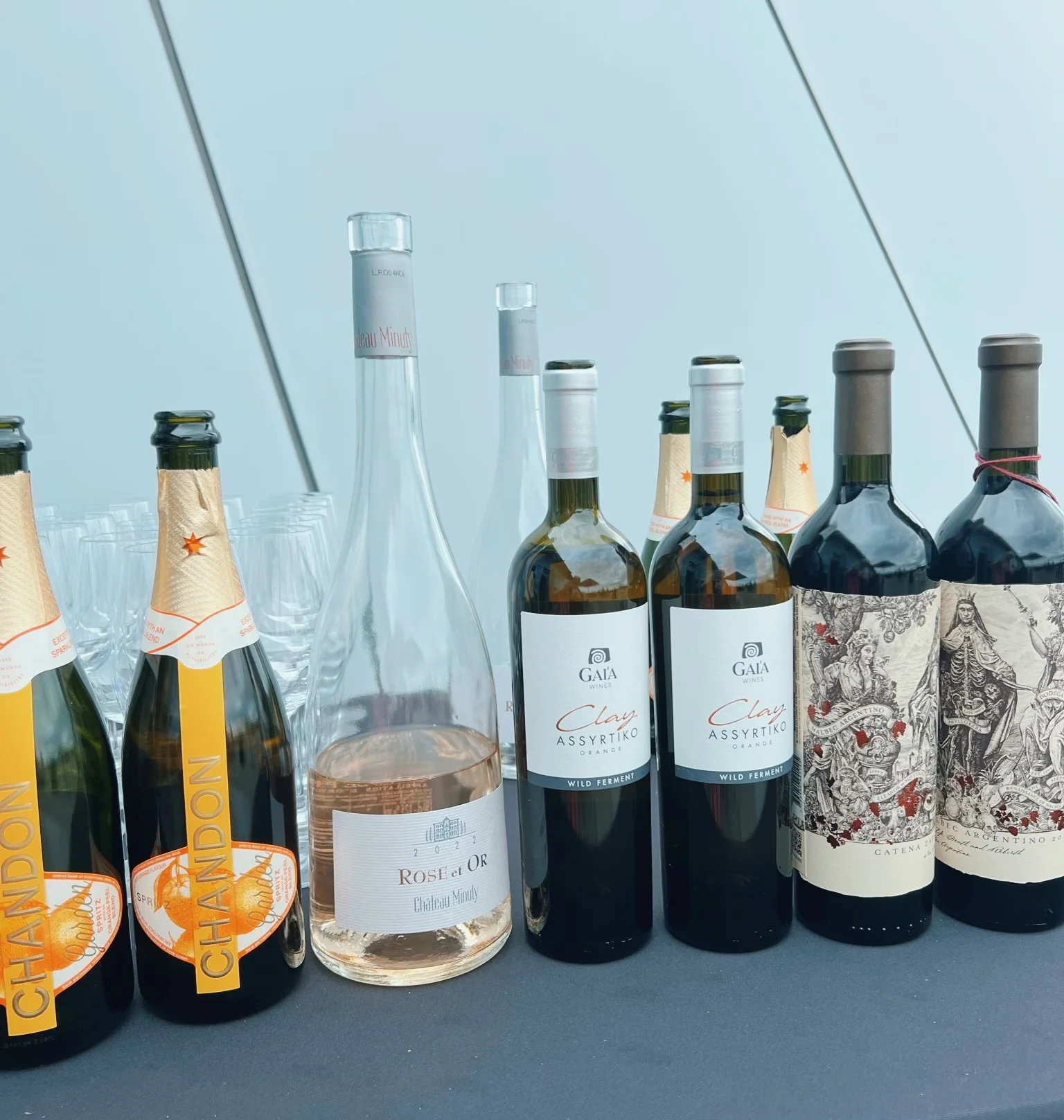 Selection of wine bottles and glasses arranged on a tasting table