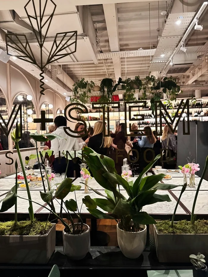 Wine tasting event inside Stems, with guests and plants