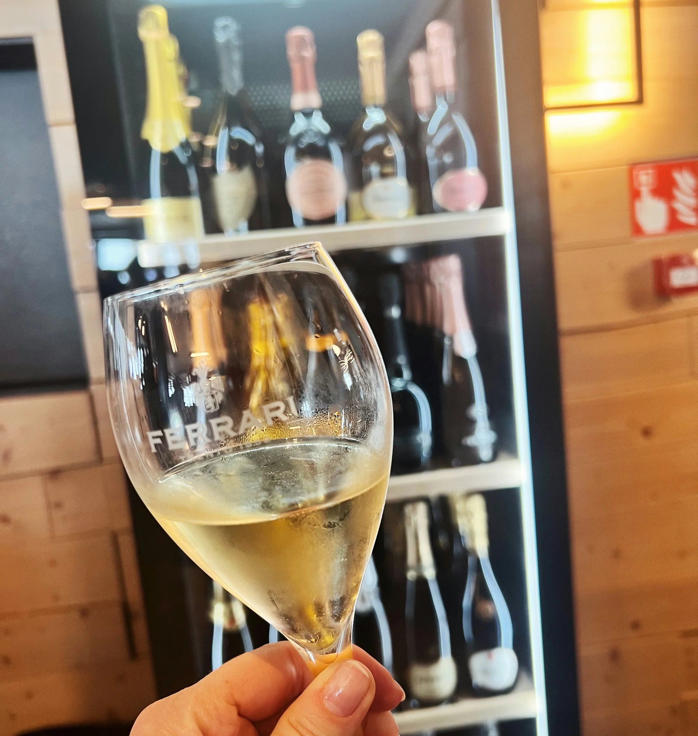 Hand holding a glass of Ferrari sparkling wine in front of a lit display cabinet of bottles