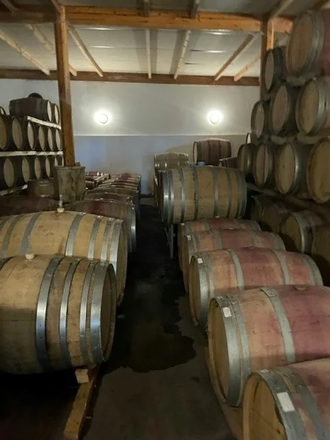 Wine barrels stacked in a dimly lit cellar storage room