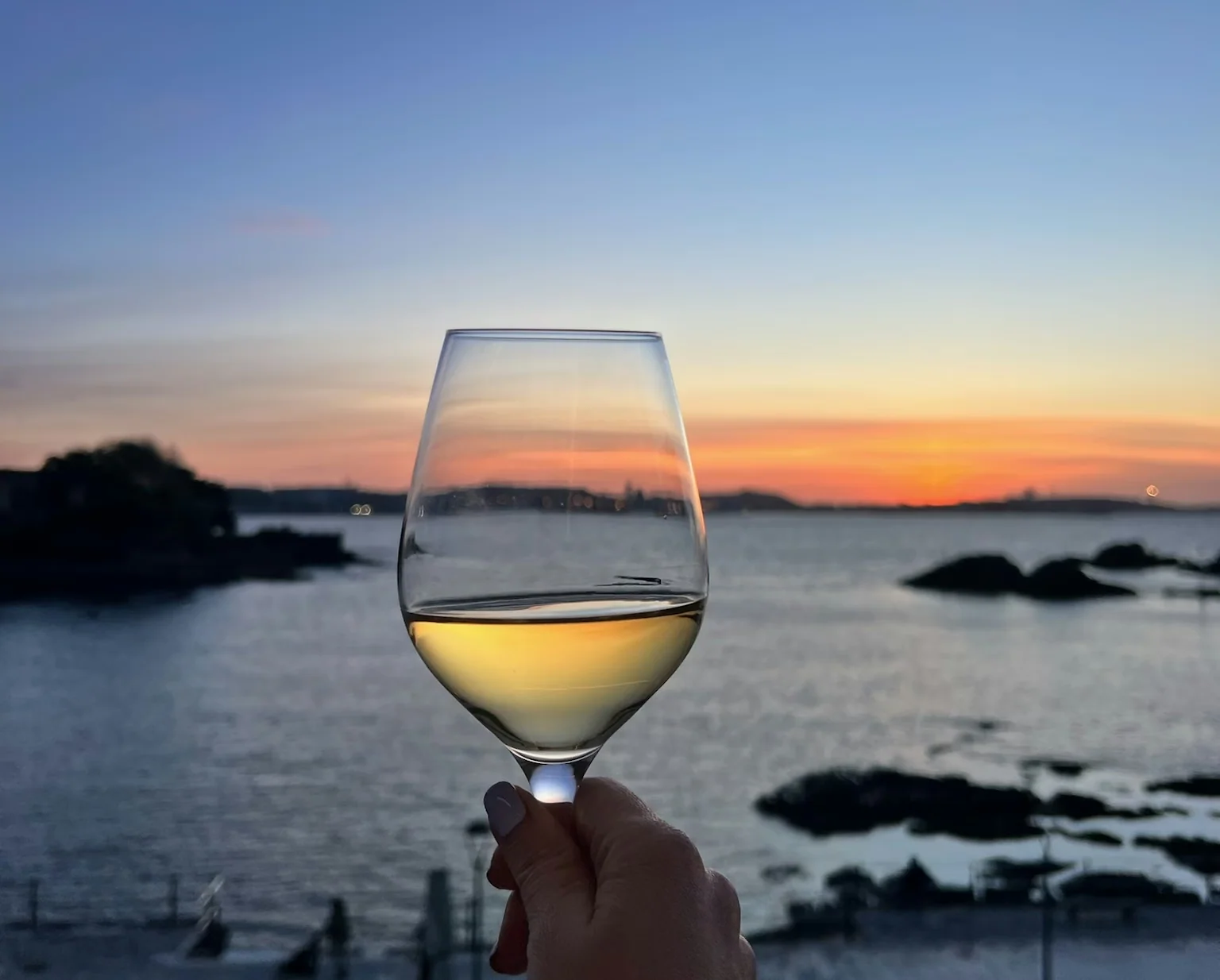 What is Acidity in Wine?