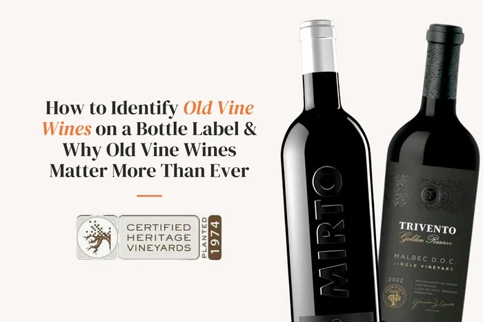 Two wine bottles and old vine label graphic on white background