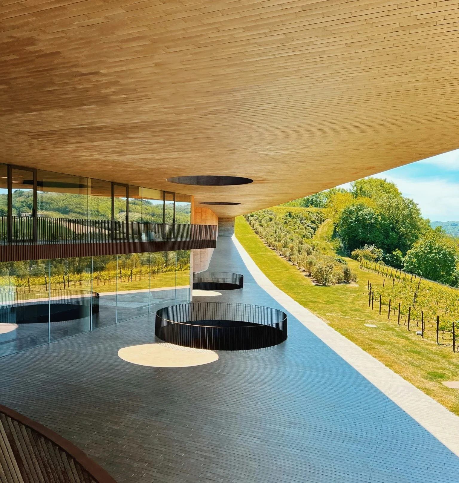 Modern winery building with curved wooden roof, glass walls, circular balconies and Tuscan vineyards