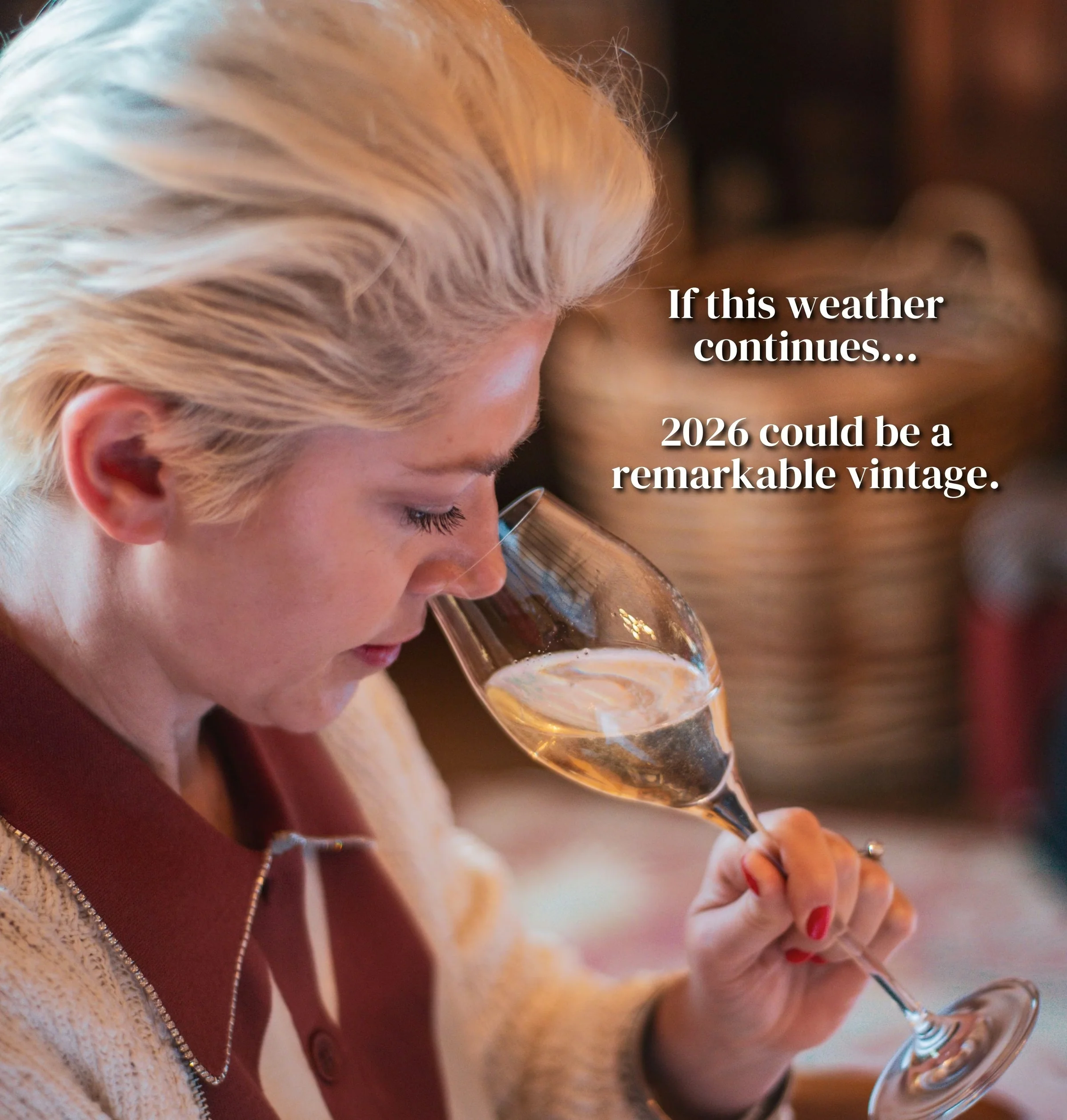 Blonde woman in a cosy setting smelling pale sparkling wine in a glass