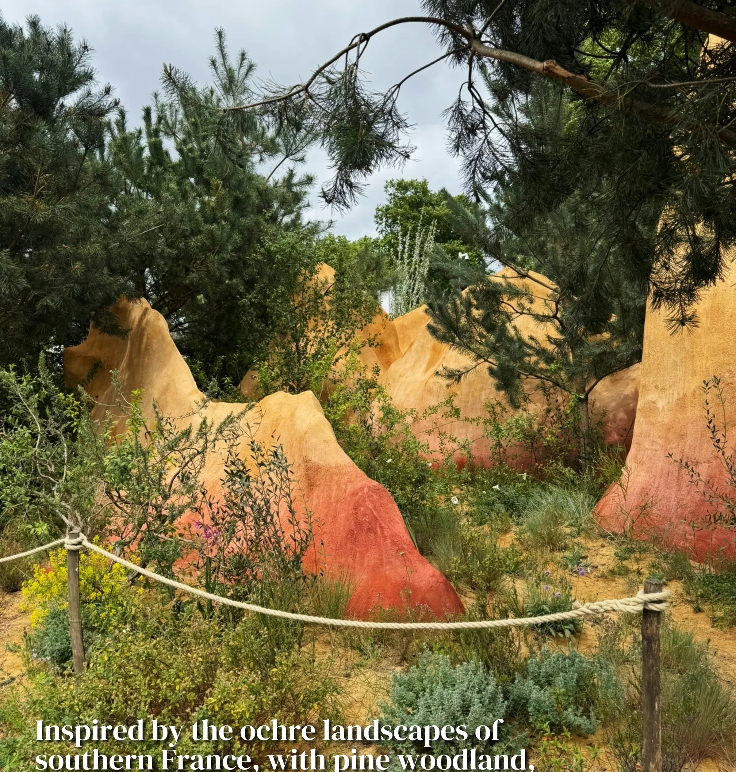 Ochre and terracotta garden landscape surrounded by pine trees at Chelsea Flower Show