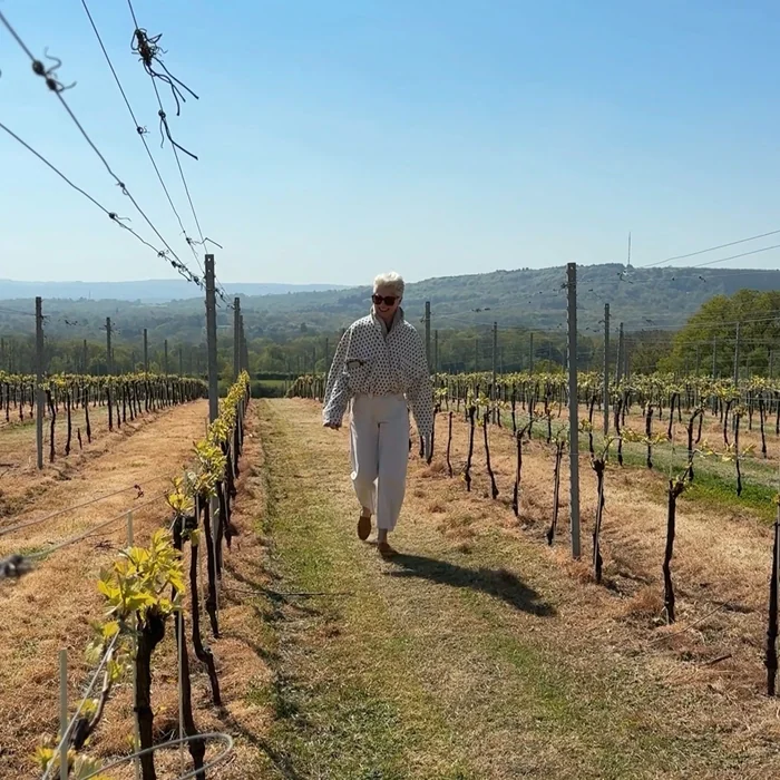 Person walking through a vineyard on a sunny day