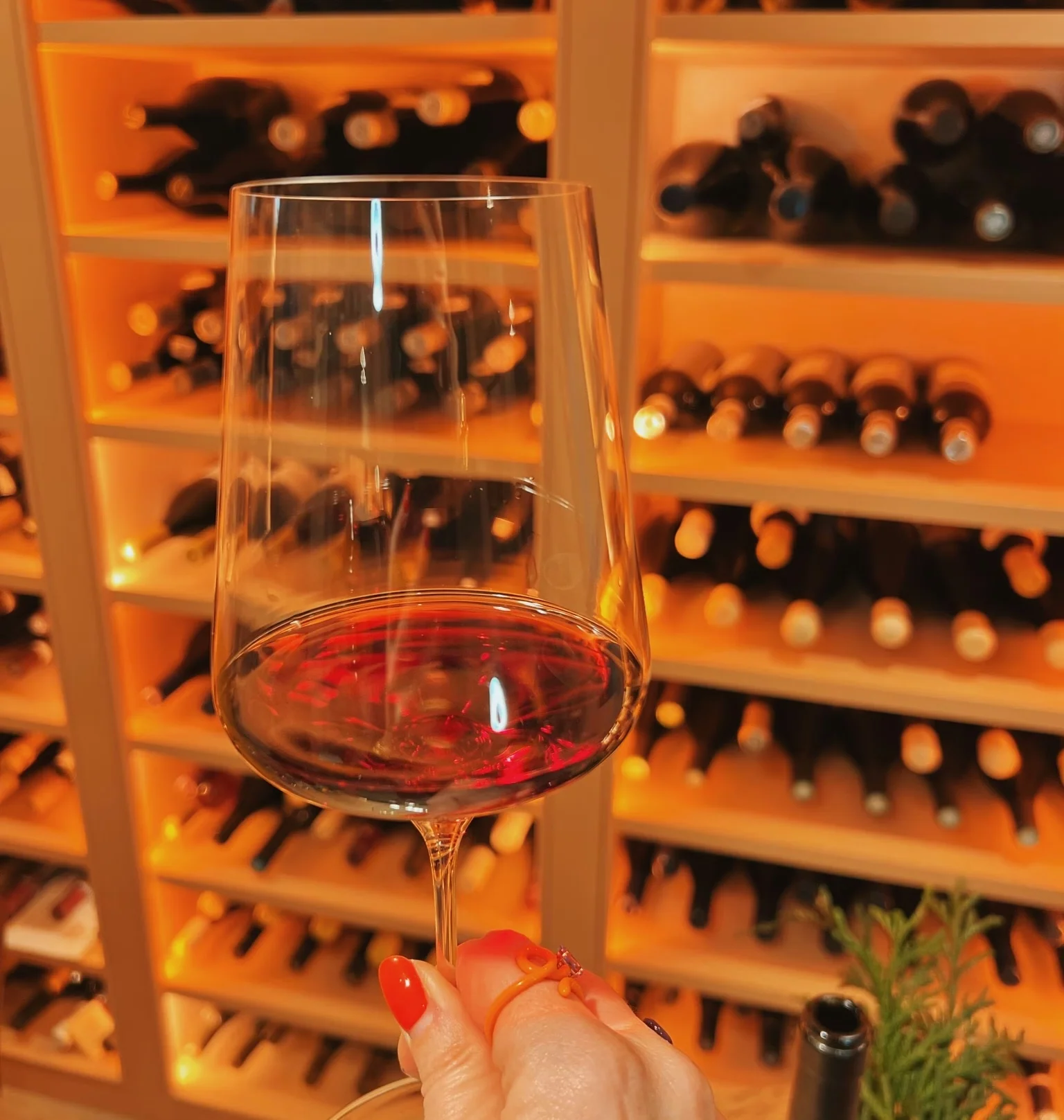 Hand holding a glass of red wine in front of shelves of wine bottles
