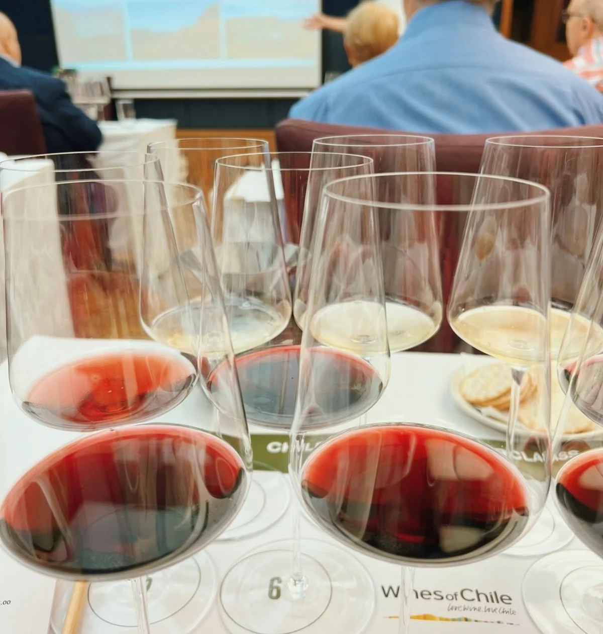 Wine tasting glasses filled with red, rosé and white wines at a seated tasting
