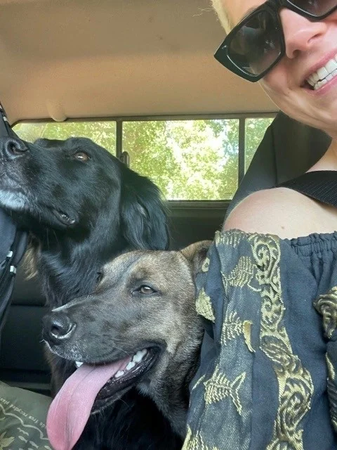 Woman with sunglasses and two dogs sitting in a car