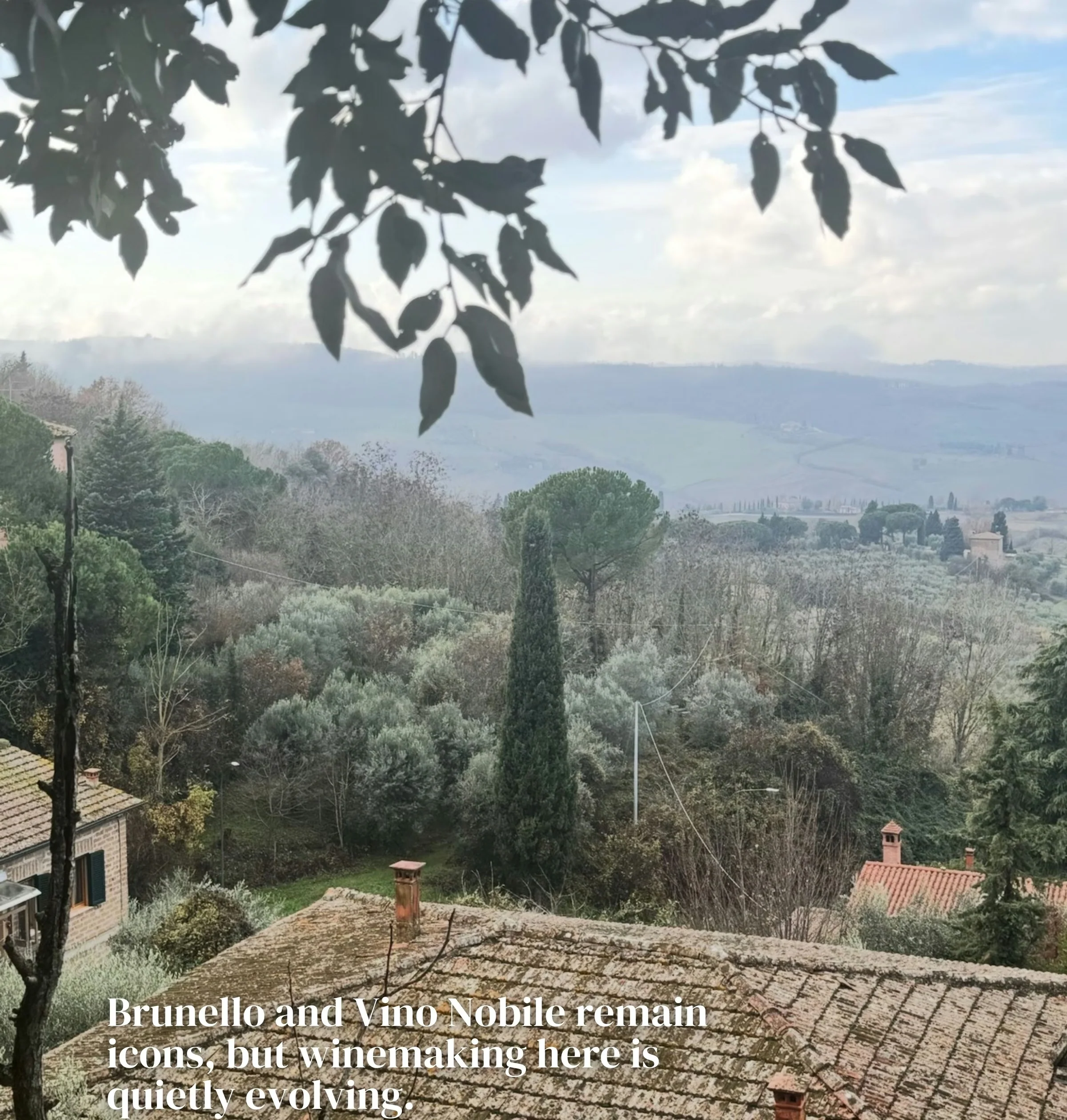 Misty Tuscan landscape viewed over terracotta rooftops and olive groves