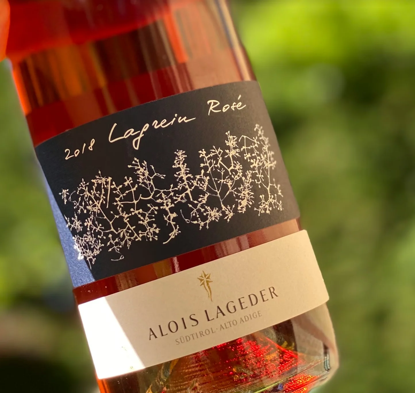 Close-up of a bottle of 2018 Lagrein Rosé from Alois Lageder, held outdoors against blurred greenery