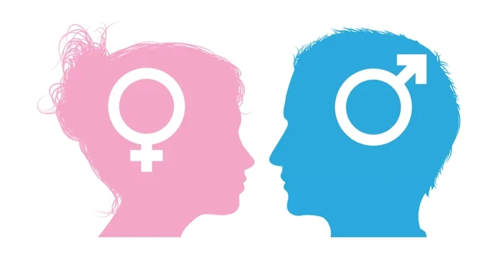 Pink female and blue male silhouette profiles facing each other