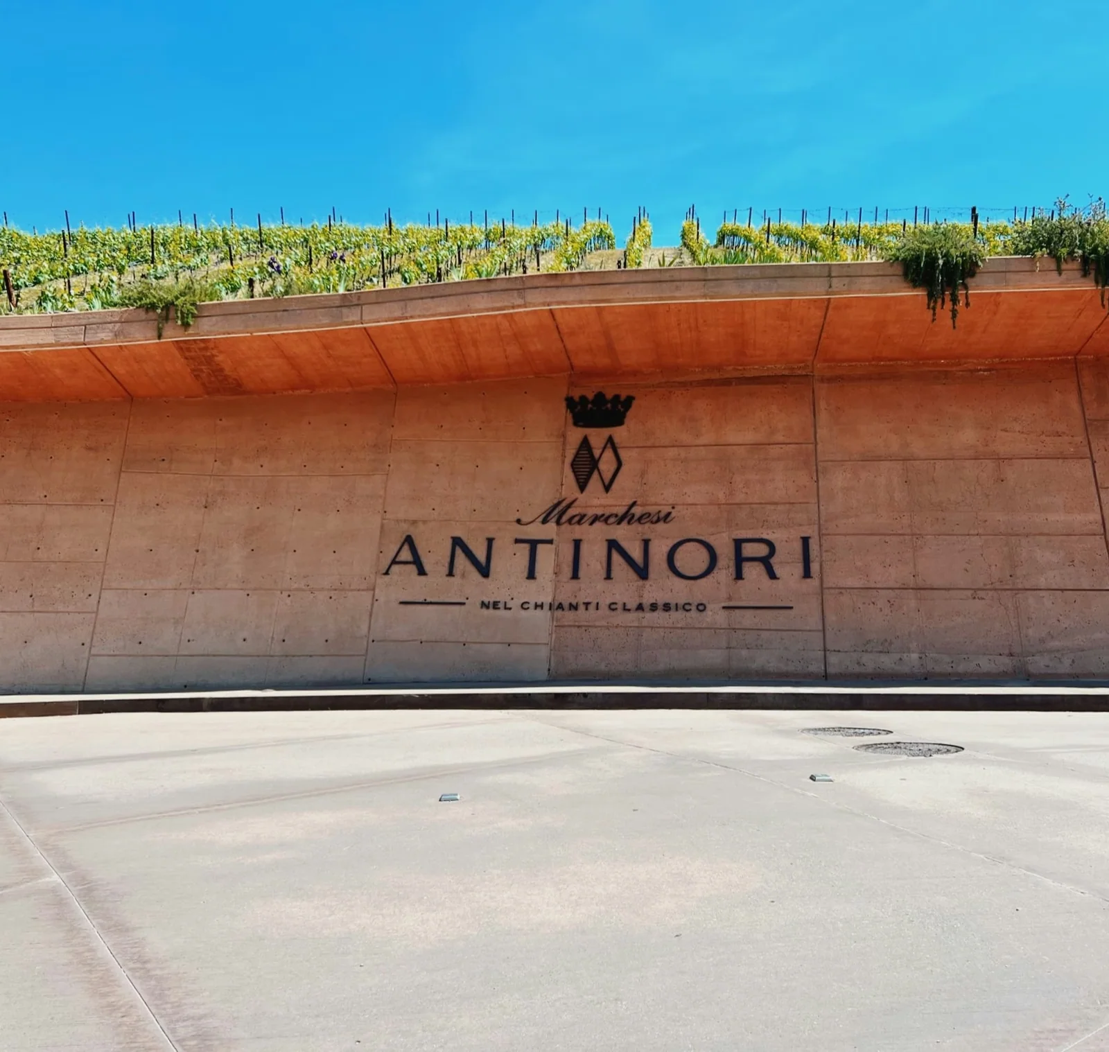 Antinori winery entrance with its name on a terracotta wall, vineyards above and a clear blue sky