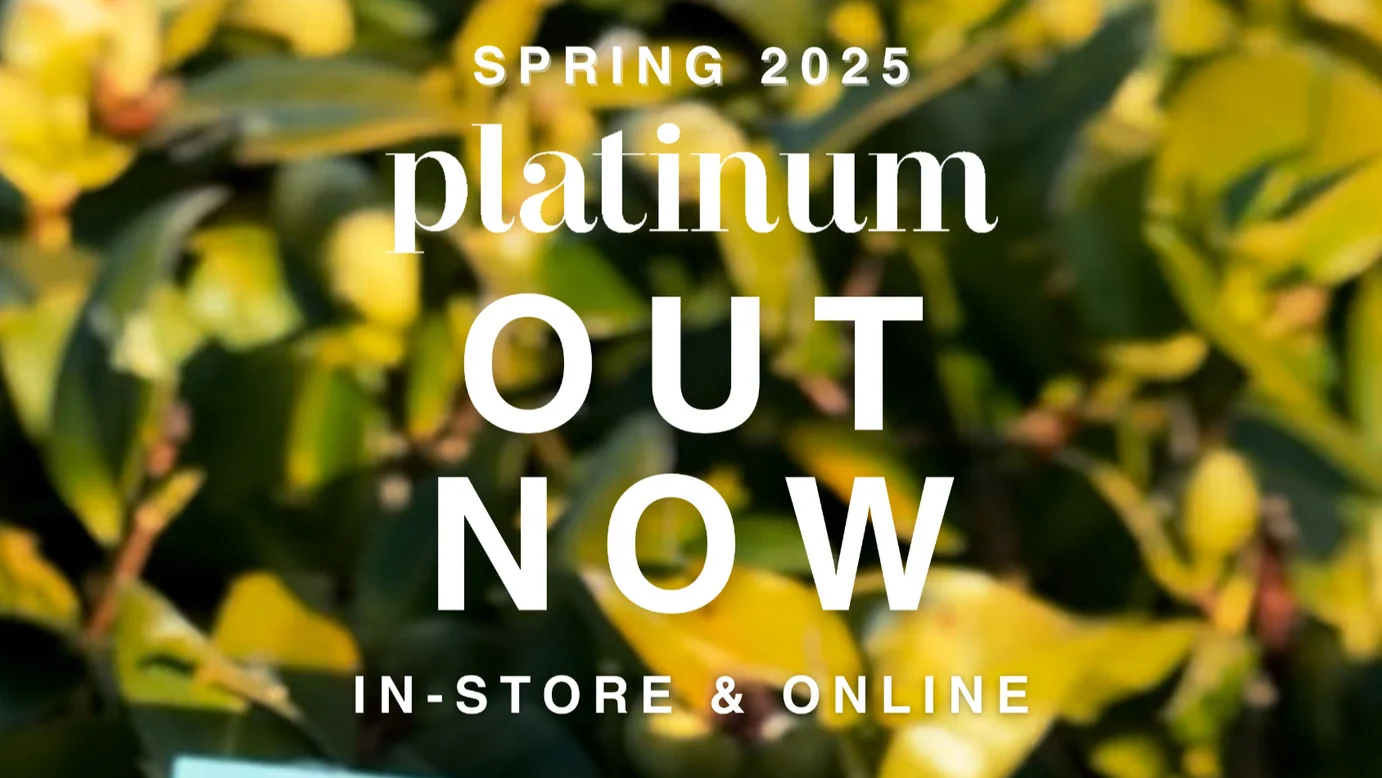 Discover New Territory Wines in My Latest Platinum Magazine Column!