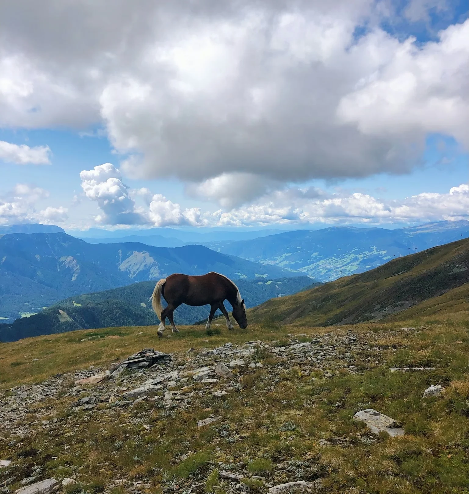 Horse grazing on a rocky Alpine hillside beneath dramatic clouds