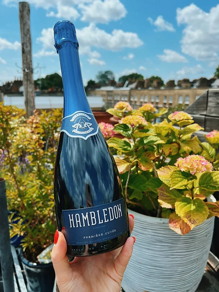 Hand holding Hambledon sparkling wine bottle on a sunny rooftop terrace