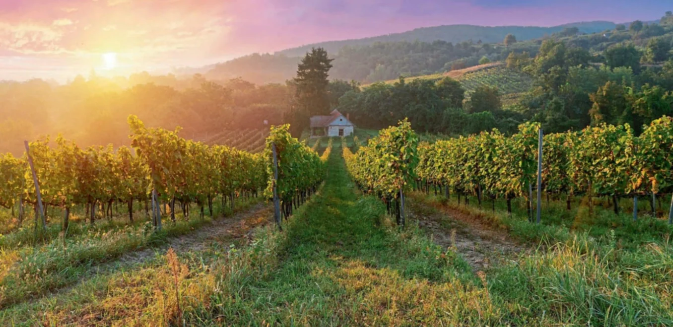 Two Women. Two Tuscan Wine Stories | A Journey Through Val d’Orcia & Montalcino
