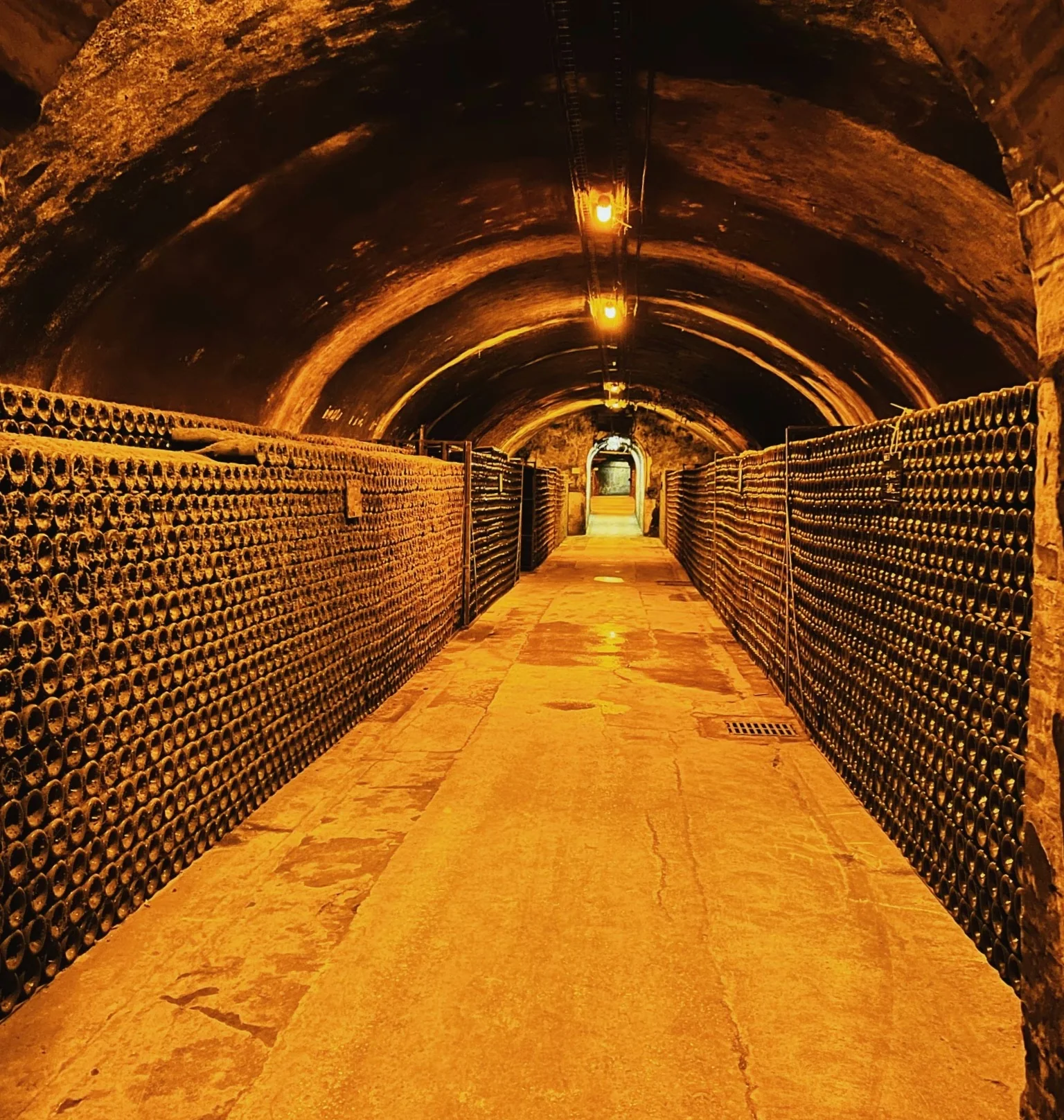 Arched Champagne cellar lined with thousands of bottles, lit by warm overhead lights