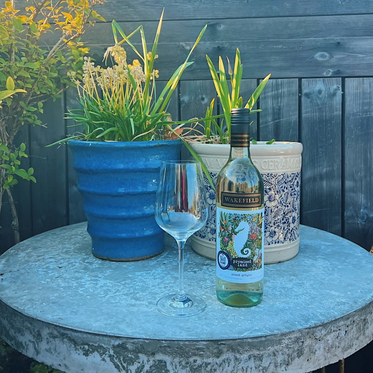 Wine bottle and empty glass on garden table with potted plants