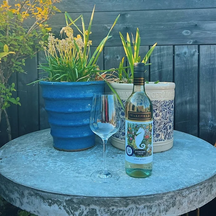 Wine bottle and empty glass on garden table with potted plants