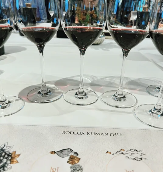 Rows of red wine glasses on a tasting table marked Bodega Numanthia