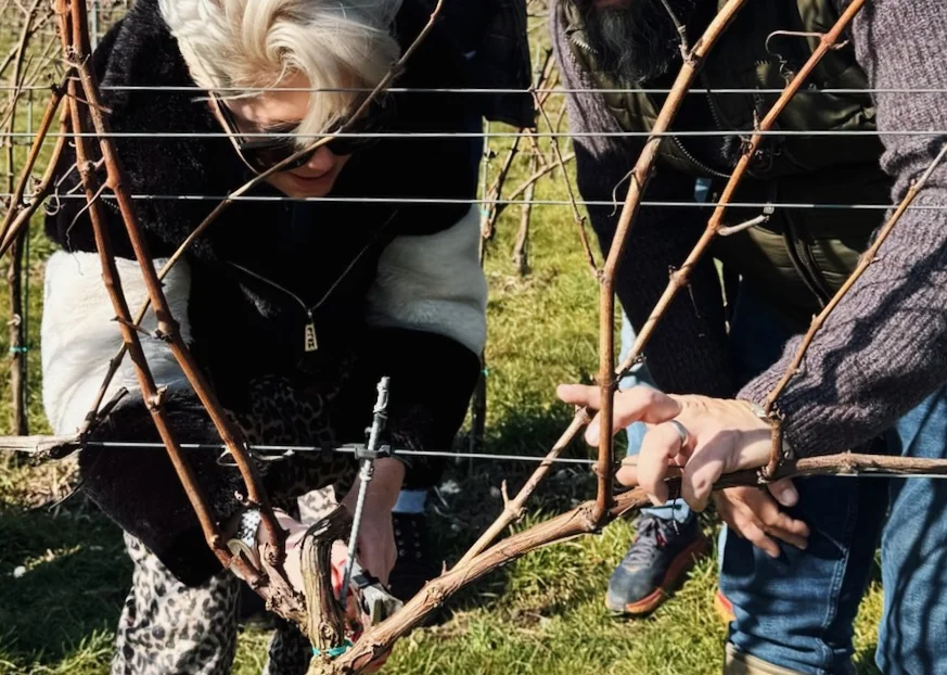 Can England Match France? A Blind Tasting of English Still Wines | Visiting Whitewolfe Estate in Kent