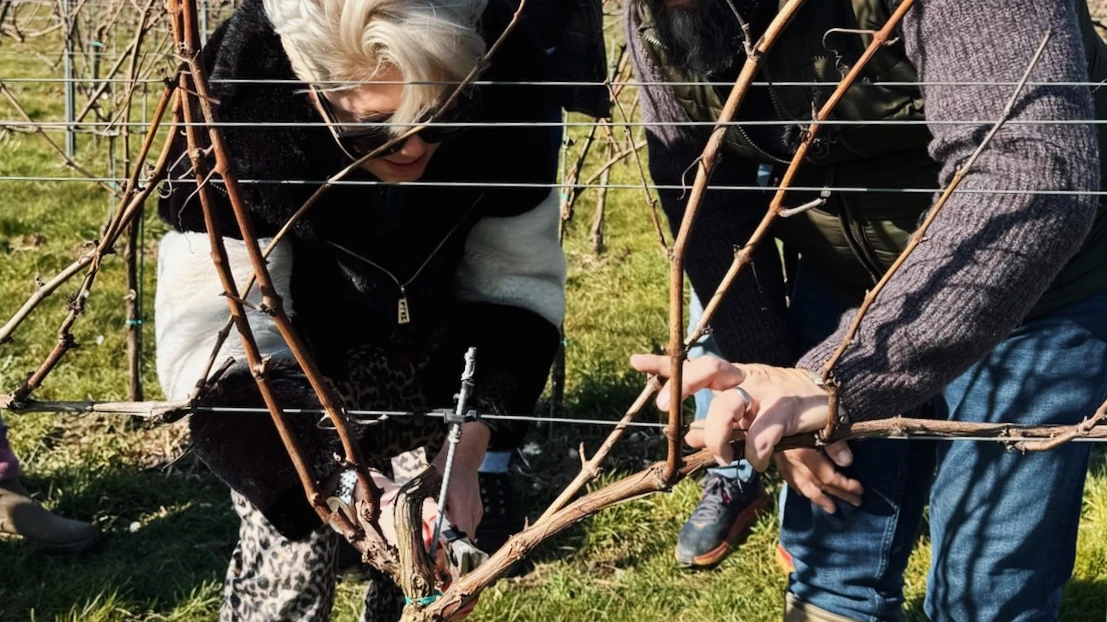 Can England Match France? A Blind Tasting of English Still Wines | Visiting Whitewolfe Estate in Kent