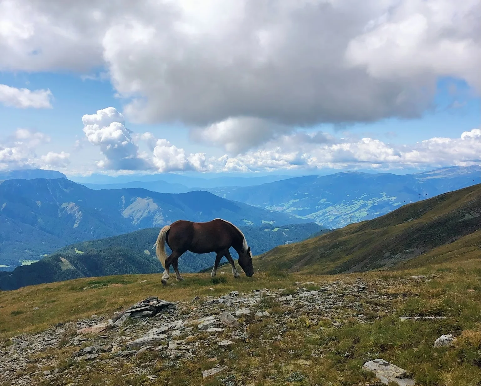 Alto Adige, discovering Italy’s most northerly wine region