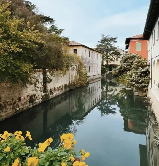 Canal lined with historic buildings and yellow flowers, photographed during a wine conference in Italy