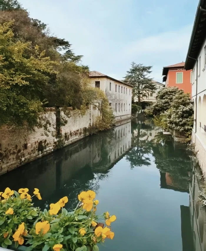Canal lined with historic buildings and yellow flowers, photographed during a wine conference in Italy