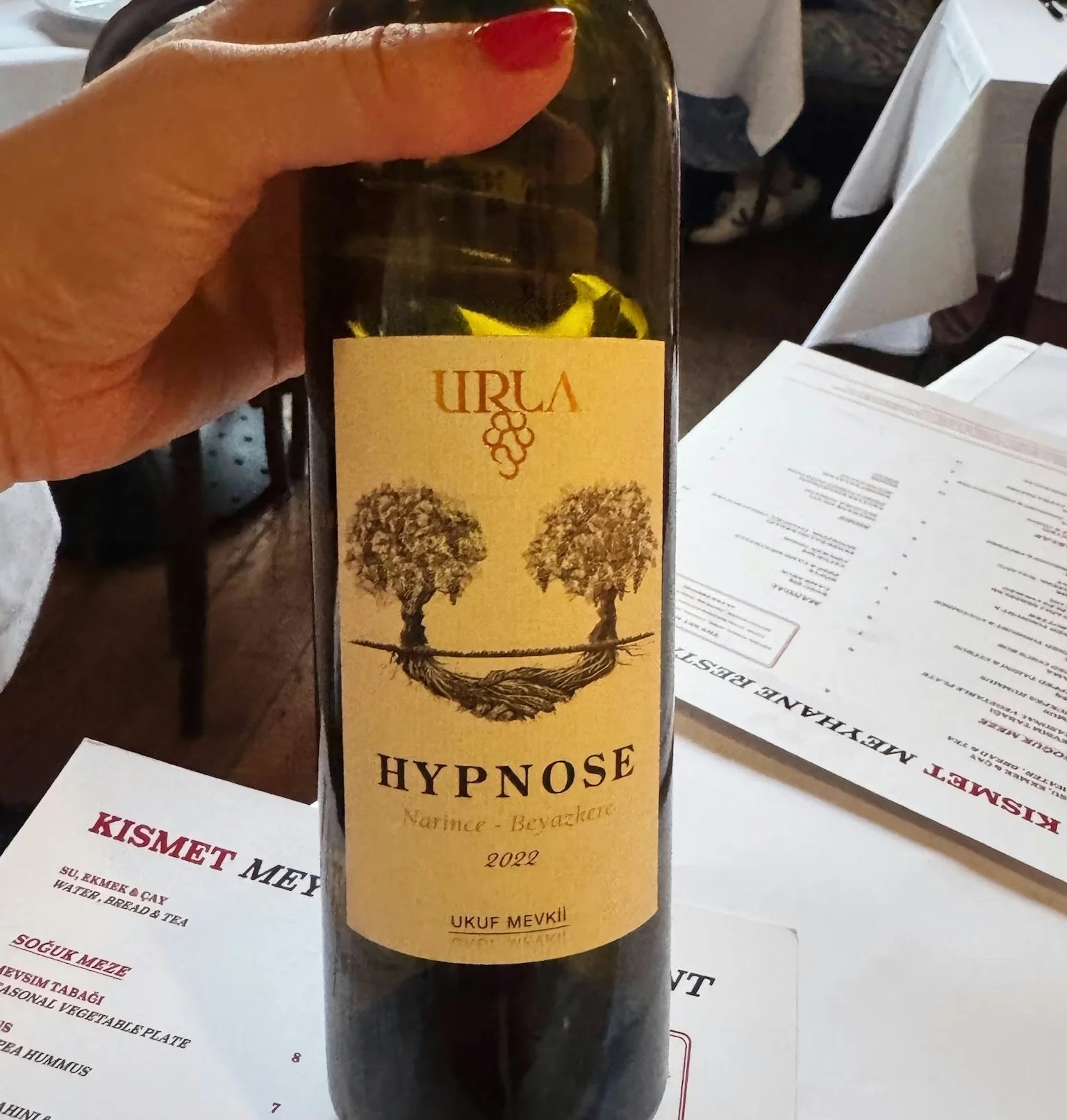 A hand holds a bottle of Hypnose 2022 wine above a printed Kismet menu
