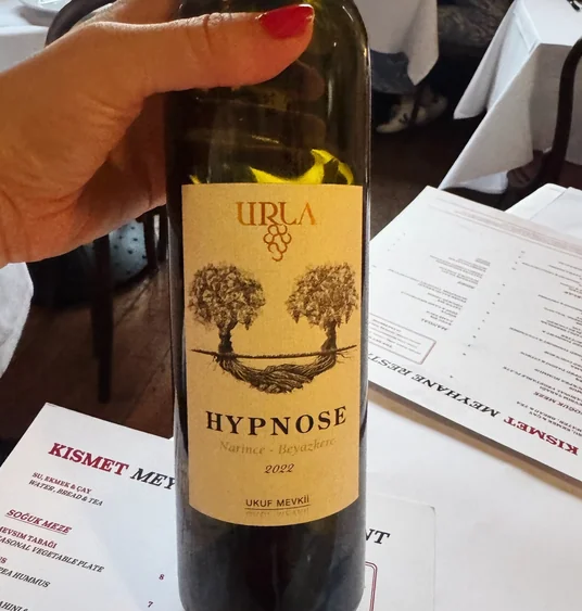 A hand holds a bottle of Hypnose 2022 wine above a printed Kismet menu