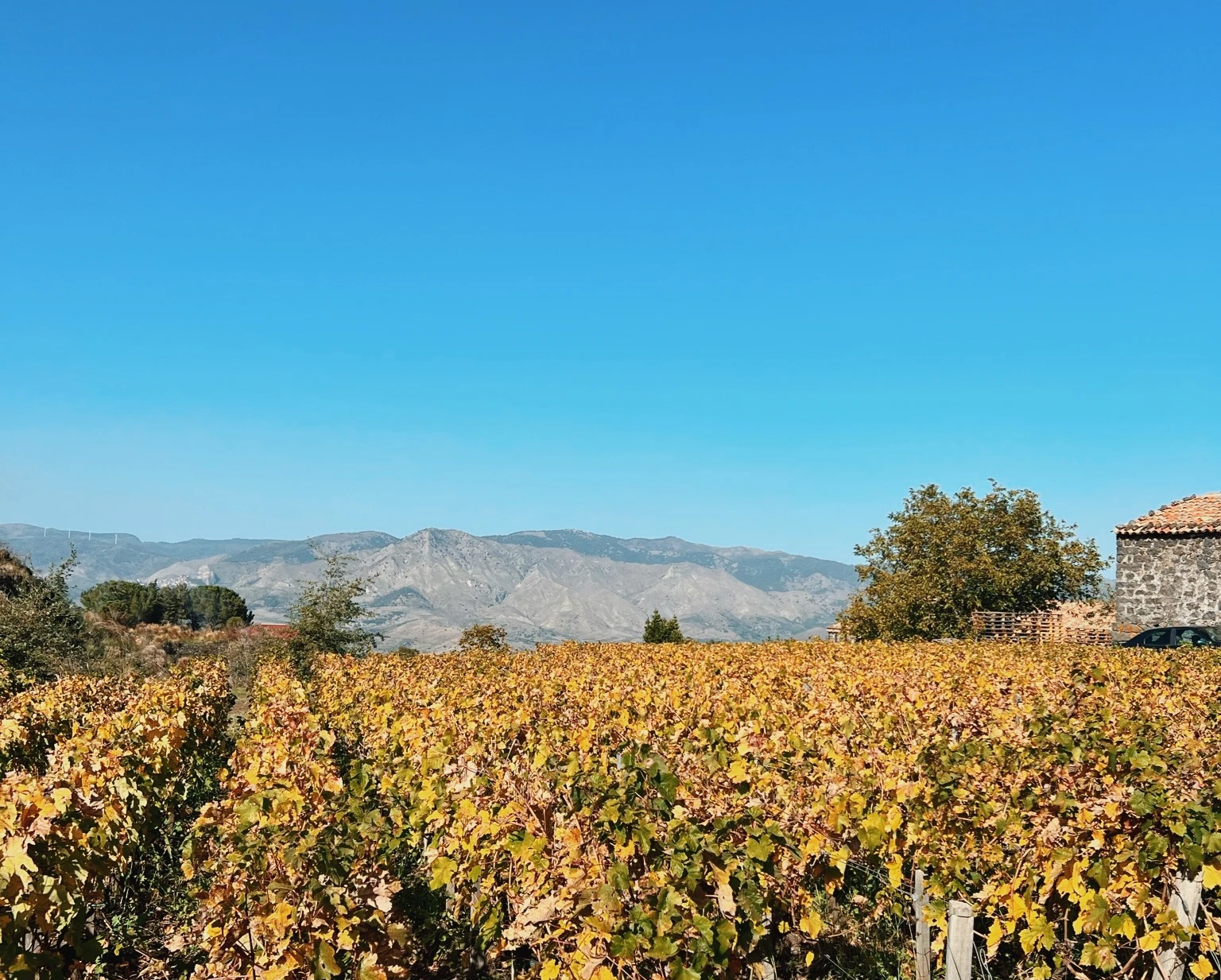 Stunning Sicily, discovering the wine makers on the slopes of Mount Etna