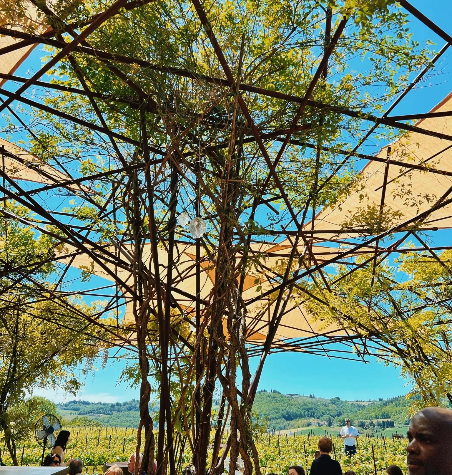 Diners beneath a vine-covered pergola overlooking Tuscan vineyards and green hills
