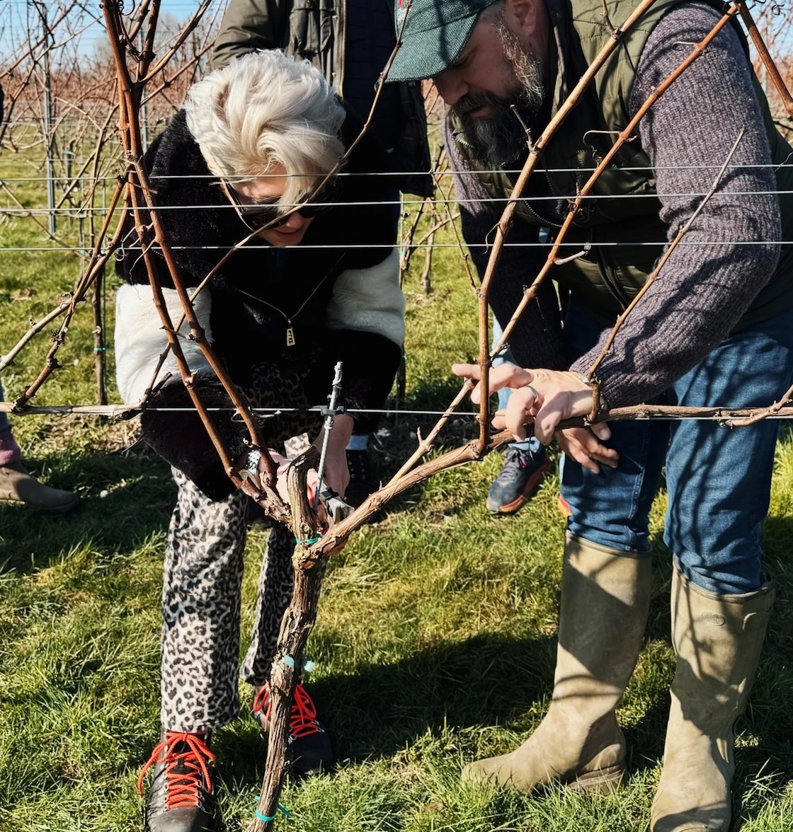 Two people prune grapevines in a vineyard, with two others standing behind them.