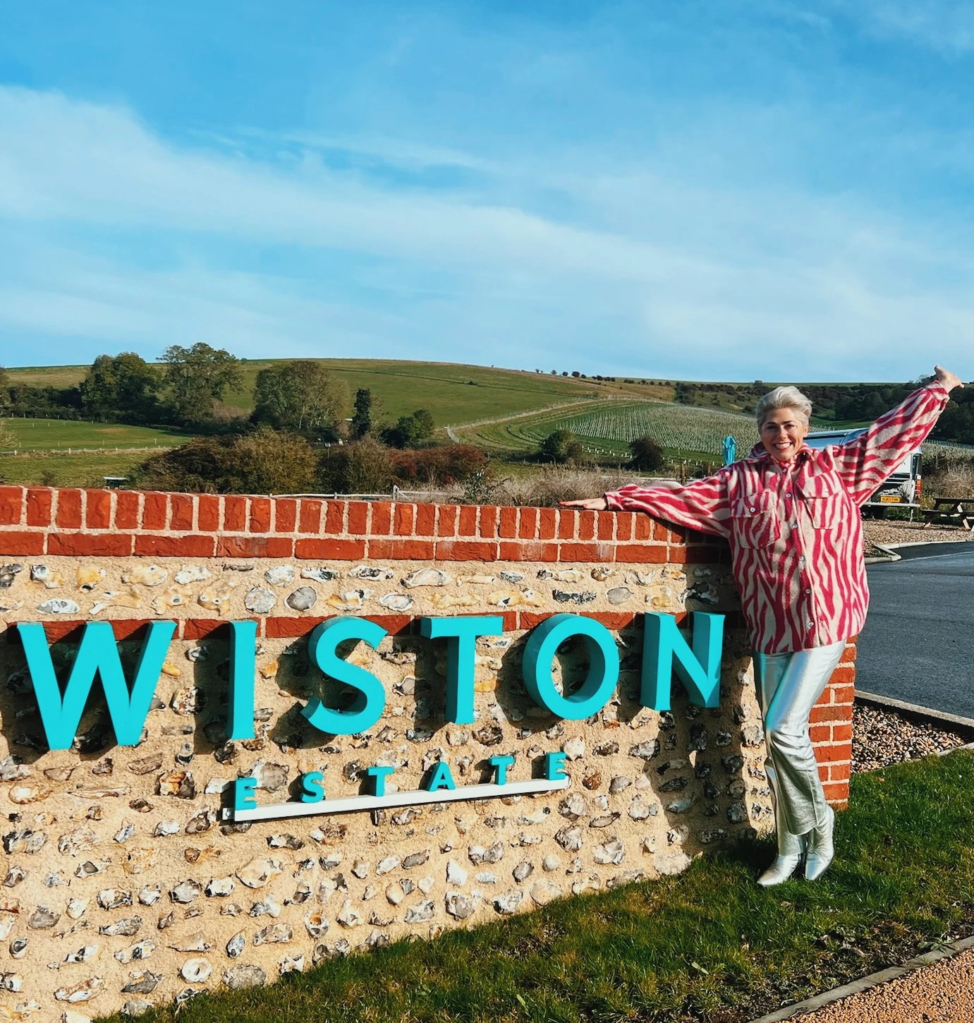 Person standing beside the Wiston Estate sign, with vineyard-covered hills behind
