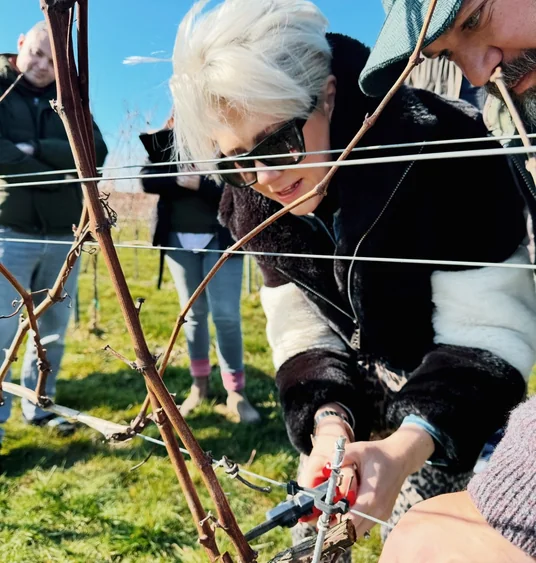 Woman pruning a grapevine outdoors while others work among the vines