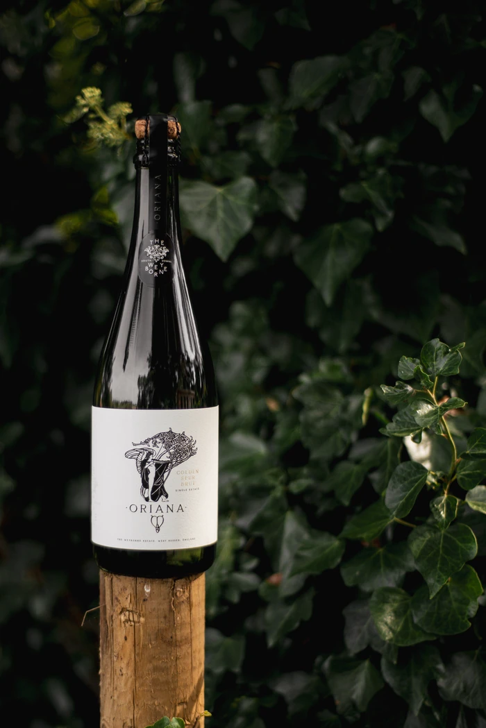 Oriana Golden Spur sparkling wine bottle against dark green foliage